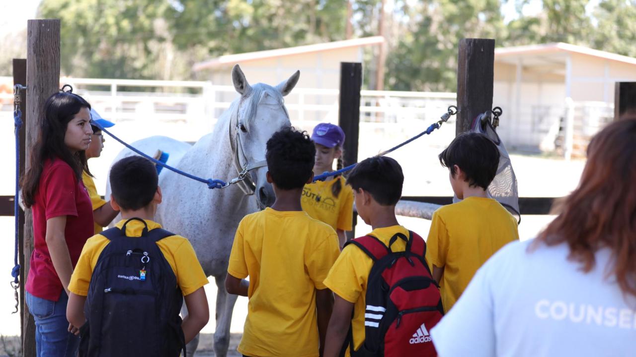 campers led by an instructor in the correct way to brush a horse.
